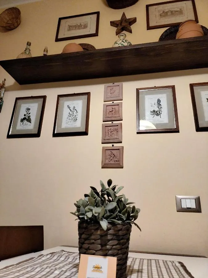 Sunnyside Accademia Apartment Livorno Italy
